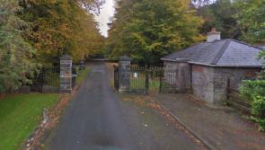 Cash boost for two Laois  glamping sites awarded a total of €550,000 by Fáilte Ireland