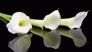 Kilkenny deaths for Tuesday, February 19