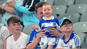 SPORT REVIEW OF THE YEAR - Dubs dash Leinster hopes but Laois fans learn to dream again in June