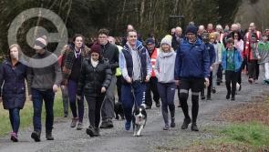 GALLERY: Festive Derryounce Walk in Portarlington, Laois