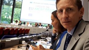 European Director to attend Laois IFA AGM