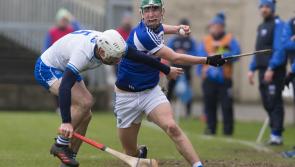 Laois senior hurlers lose out to clinical Waterford in Allianz NHL Division 1B clash