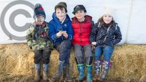 Spring on the way as Laois ploughing matches begin - Portlaoise match in pictures