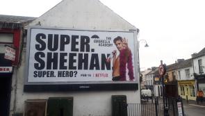 Netflix superhero Robert Sheehan brightens up his Laois home town