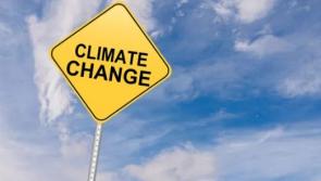 Ireland will lead response to climate breakdown, says Laois TD