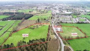 28 acres of land up for sale in Edenderry