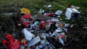 Action called for to crackdown on Laois Offaly border dumping in Blooms