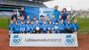 GALLERY: Laois GAA clubs descend on Croke Park for Go Games initiative