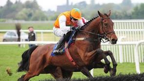 The Laois-trained horse that could win the Irish Grand National this weekend