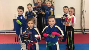Massive medal haul for Laois Martial Arts youngsters