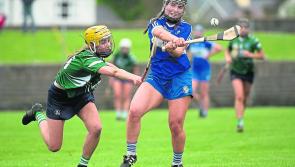 Laois Limerick Camogie All-Ireland final replay details confirmed