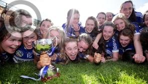 GALLERY: Match & Celebration photos of Laois' All-Ireland Minor Camogie title