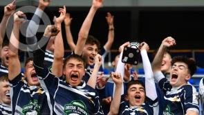 Portlaoise Rugby Club on a new journey  to 'top class'  environmentally friendly sports complex