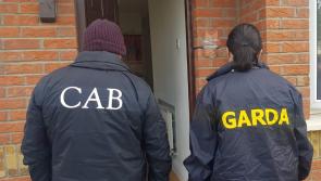 Garda Criminal Assets Bureau hit targets in Laois and Offaly 