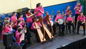 Laois called on to support the huge Leinster Fleadh in Portlaoise 