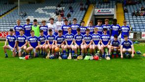 Brave Laois bow out of Leinster Minor Hurling Championship with defeat to Wexford