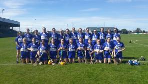 Revealed: Laois drawn in tough group in Camogie championship