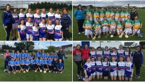 Laois Cumann mBunscol host Leinster Camogie Blitz