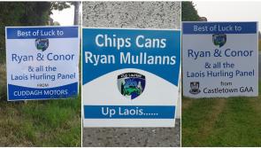 Our favourite Laois sign ahead of the Joe McDonagh Cup final