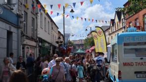 Men outnumber women in Laois and almost a quarter now renting, Census shows