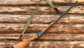 Several thousand guns legally owned in Laois gardaí confirm
