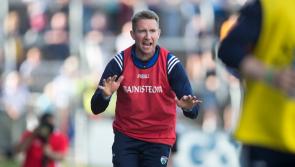 Laois hurling boss cautious on Inter County go ahead