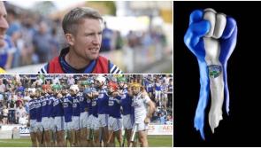 Laois supporters take to Twitter to wish hurlers the best of luck 