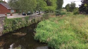 Calls for dredging of Laois river as houses and school at risk of flooding says TD