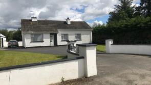 Compact bungalow with grazing land for public auction in Laois 