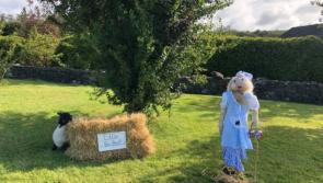 Gardaí say scarecrows were taken during Durrow festival 