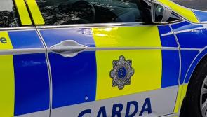 Arrest made by gardai investigating stabbing of 93-year-old man