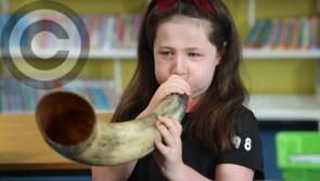 Not so horrible histories in Rathdowney during Heritage Week - in pictures