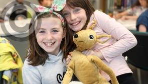 Heritage Week wildlife art workshop fun for Laois kids -  in pictures