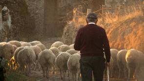 Matchmaker going to Ploughing in Carlow and will offer dating advice for farmers 