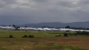 Everything you need to know about the Ploughing from tickets to the weather 