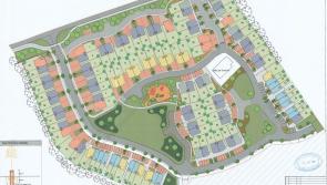 New housing estate proposed in 'a swamp' in Laois Offaly town