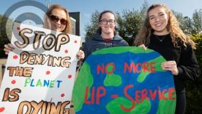 Arts and science to marry in Laois to highlight climate change challenge