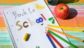Many Laois Offaly families face the loss of back to school money over claims public representative