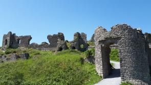 Is there a future for Laois and rural Ireland other than becoming a picturesque ruin?