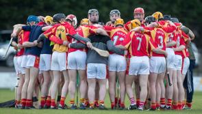 The Harps in cruise control over Ballyfin to book second successive Senior 'A' final