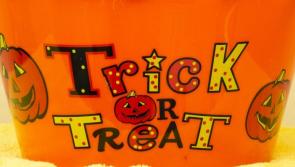 The cutest Halloween puppy pictures