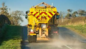 Laois Council crews to salt routes as Storm Éowyn clear up continues