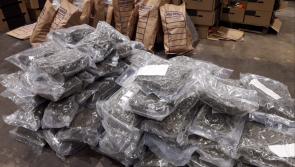 Dairy farmer linked to organised crime jailed over &euro;730,000 cannabis haul