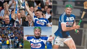 BREAKING: Laois hurler selected as Joe McDonagh Cup Player of the Year