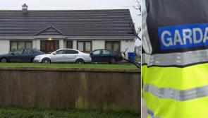 Teenager pleads guilty to the manslaughter of Italian man in Offaly