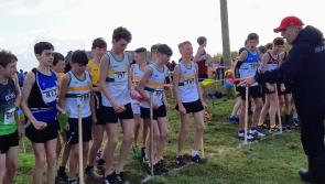 Laois Cross Country Championships to take place in  Abbeyleix