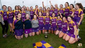 St Brigid's cruise past Camross to capture Minor Camogie crown