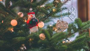 Laois Hospice  and Portlaoise Lions Club renew rescheduled  real Christmas tree sale appeal