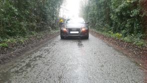 Laybys needed for abattoir trucks on local Laois roads council told