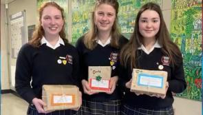 WATCH Scoil Chríost Rí students in Portlaoise shows 'kindness' to homeless kids with 2,000 books
